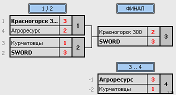 результаты турнира Зимний Командный Кубок RTTF | Лига-300